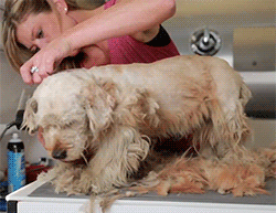 huffingtonpost:  This makeover literally saved Charlie’s live. See the full video
