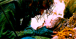 faramircaptainofgondor:  middle earth meme: {1/3} races→ men