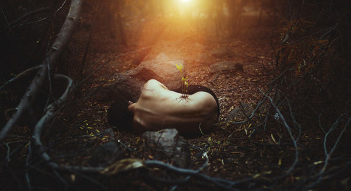 ronnygarciaph:  “Where there is life” 94/365 on Flickr. 