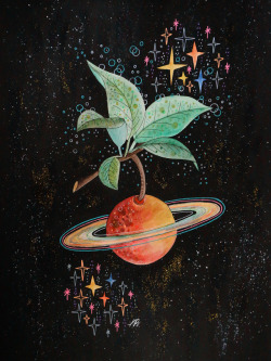 inkflowergarden:  A bit more of cosmic fruit…