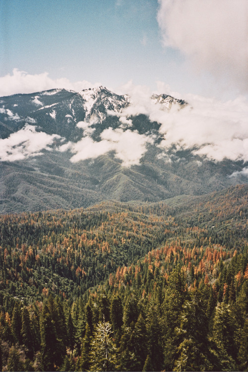 malonebryson: took my 53 year old mom on her first backpacking trip // sequoia national park // mind