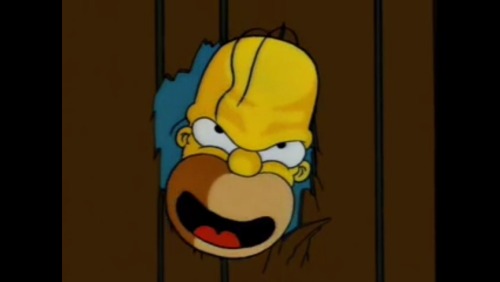 Front Facing Homer Simpson (Treehouse of Horror V)