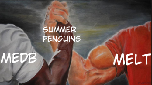 raionmimi:kansascity-elffriend:raionmimi:Penguin solidarityWHERE ARE THE SUMMER MELT PICTURES? I CAN