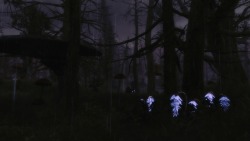 darkfantasyskyrim:deathbells in the rain