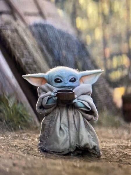 May The Force Be With You All 5/4/23