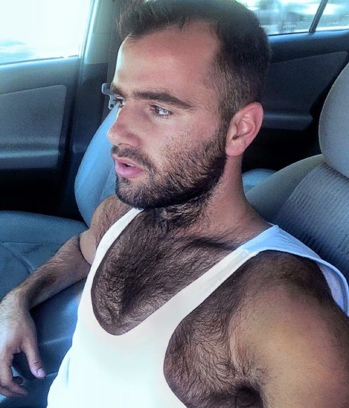 fit-hairy-guys:  FIT - HAIRY - GUYSarchive | follow | submit  Mmmmm para perderse en tanto pelo mmmmm