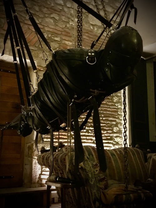 dgbastide-blog:  He’s an older guy, but not that experienced, so rather than leave him in the playroom, while I cooked dinner, I had him “hang around” in my dinning room, where I could keep an eye on him. Multi tasking, dealing with the day to