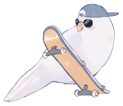 He was a skater birb, she said see you later birb.