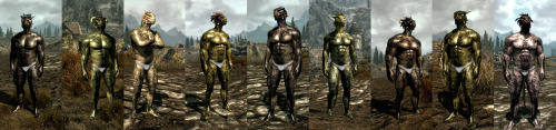 XXX The various argonian males of Skyrim, all photo