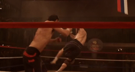 taichikungfu:  You can find that he is a smart Boxer. The first kick is a false,