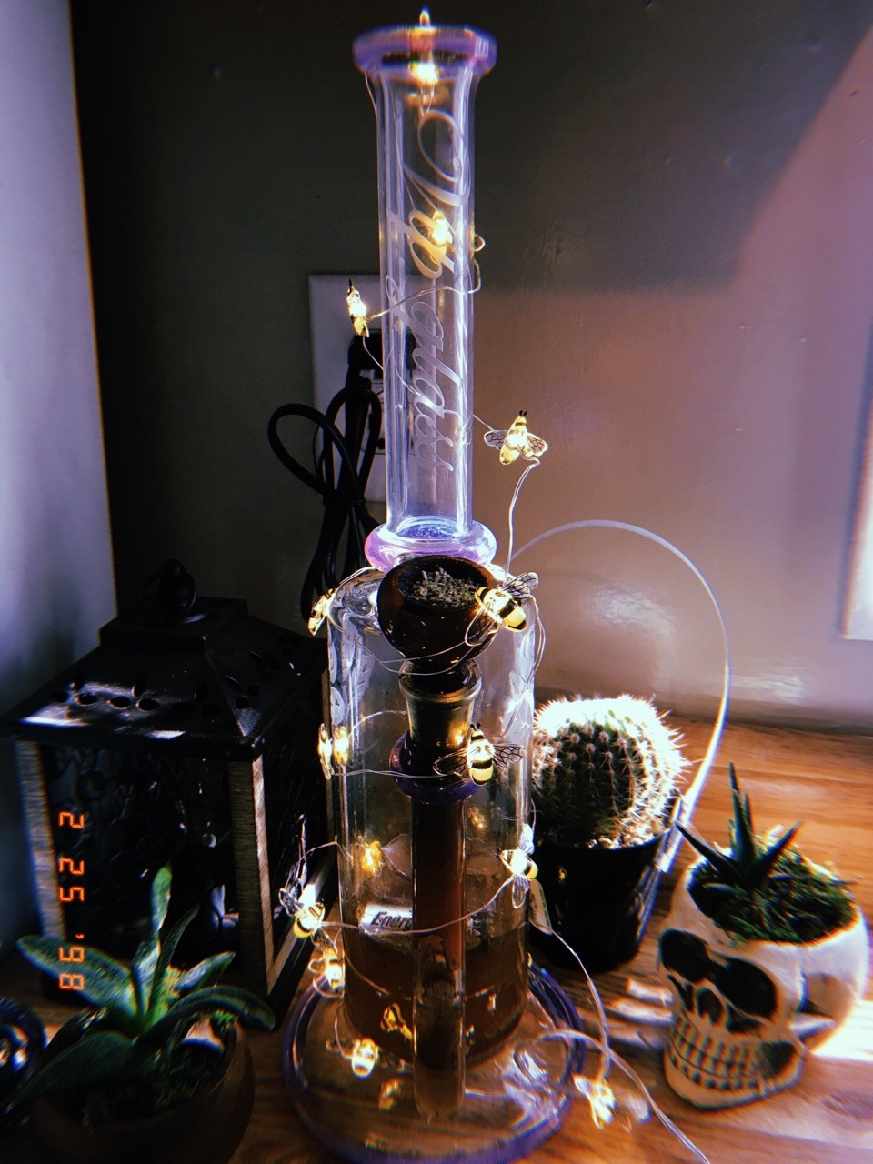 bakedbrunette:  don’t worry 🐝 happy 