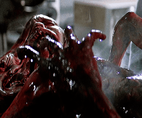 societyclub:THE THING (1982) dir. John Carpenter
