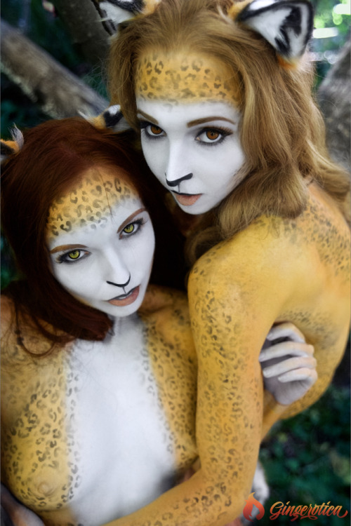 transformationfavourites:  Gingerotica - Frisky Kitties  