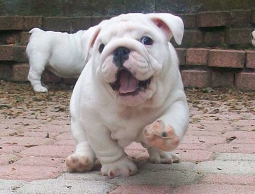Omg so happy to see you!