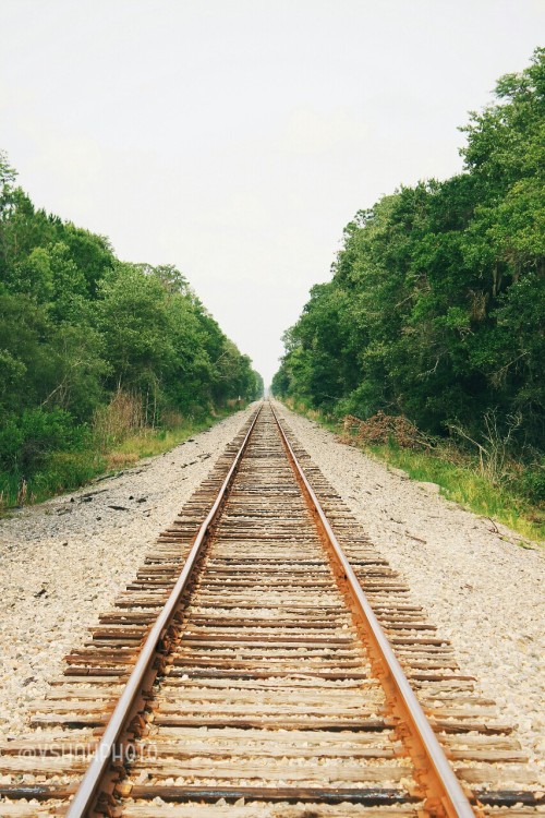 Railroad tracks. Seemingly endless.