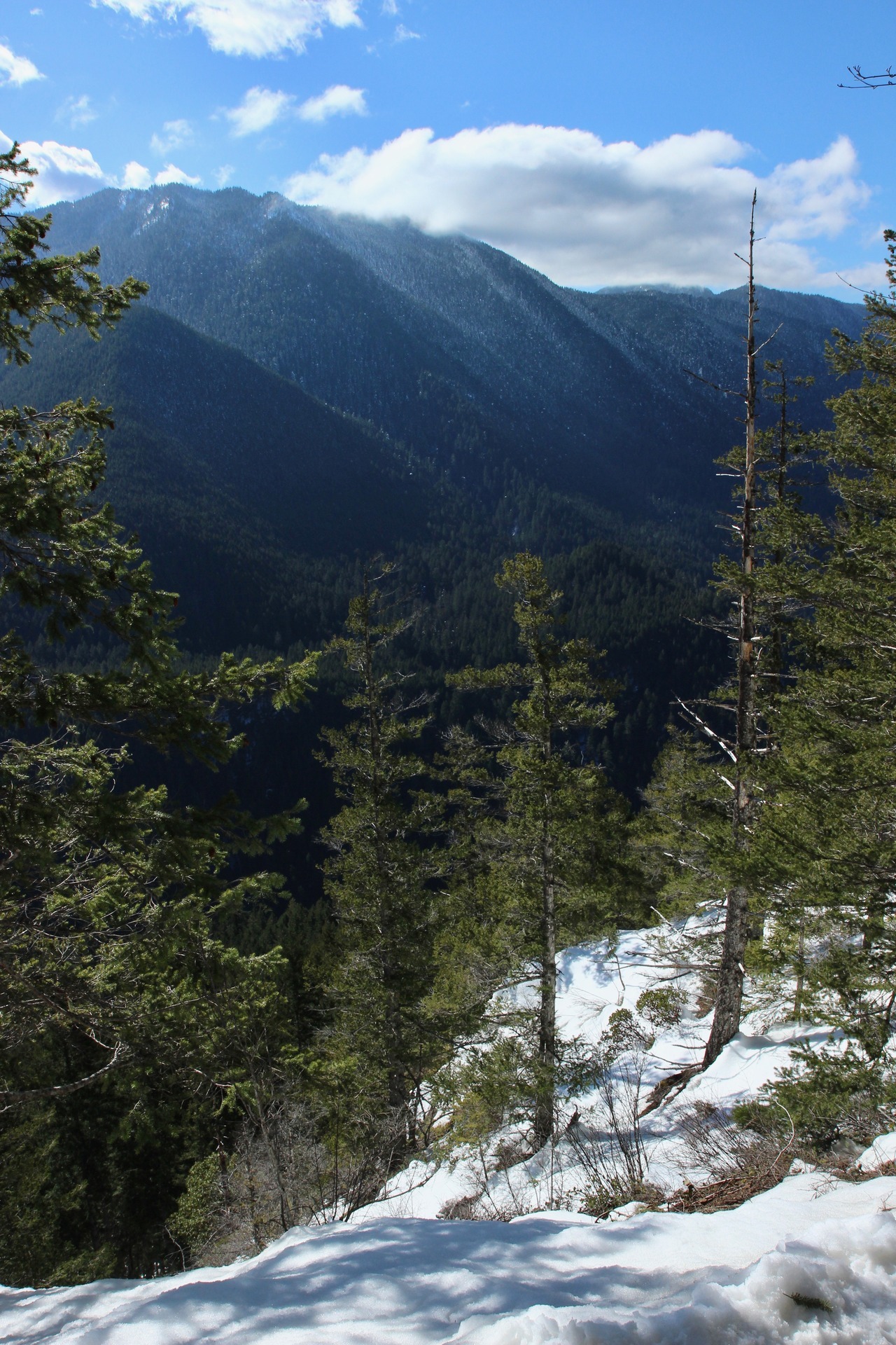 burningmine: View from Mount Storm King, March 2019