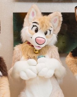 Fursuitpursuits:rt @Bordercollieart: Getting Super Pumped For #Tff! Vanille Will