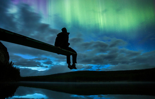 nubbsgalore:  self portratis by paul zizka in banff national park