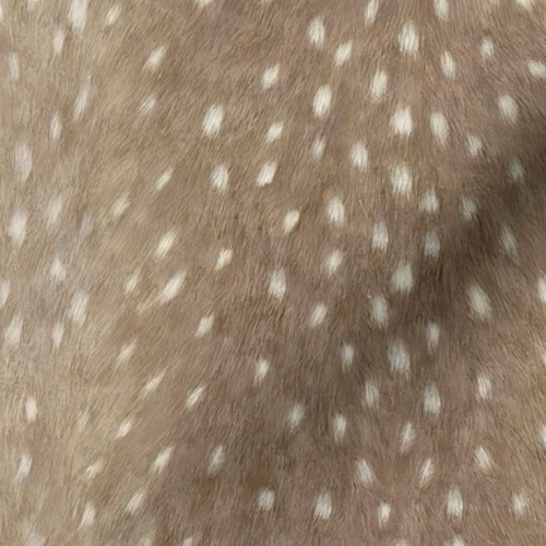　　　　　(⇀‸↼‶)　🦌　✿　˚ 　⁓　꙳