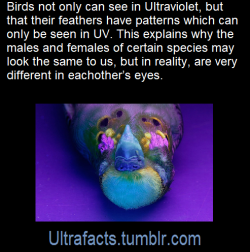 ultrafacts: Source: [x] Click HERE for more