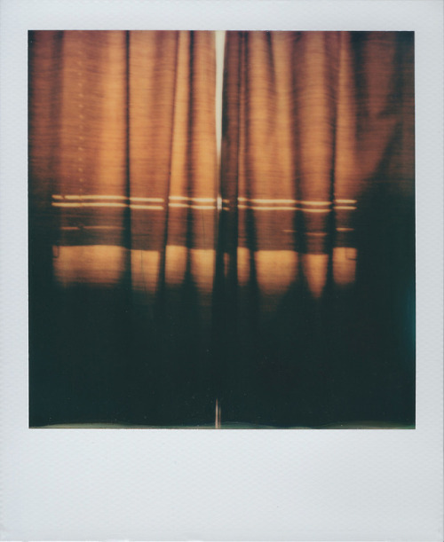 Testing out some old polaroids to sell. If you need an sx-70, let me know. Selling a limited edition