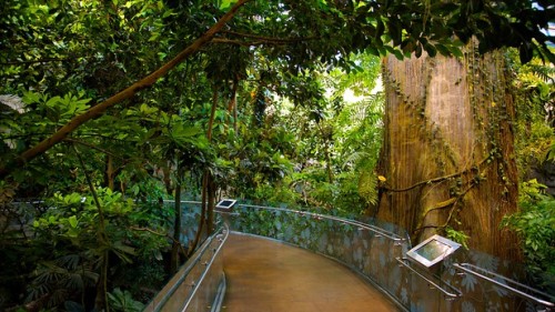 coolthingoftheday: The Biodome is a facility in Montreal, Canada that allows visitors to take an int