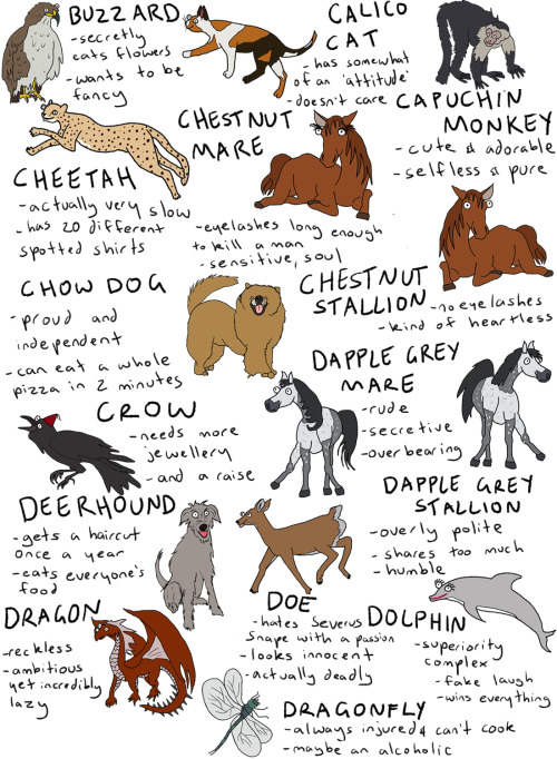 fleamontpotter: click to make bigger!!!  THIS IS SO LONG i’ve literally included every an