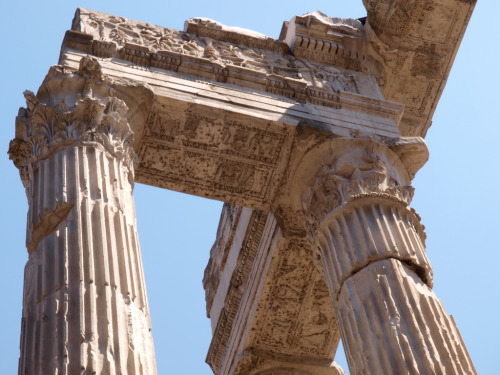 henriplantagenet:Temple of Apollo Sosianus, Rome.