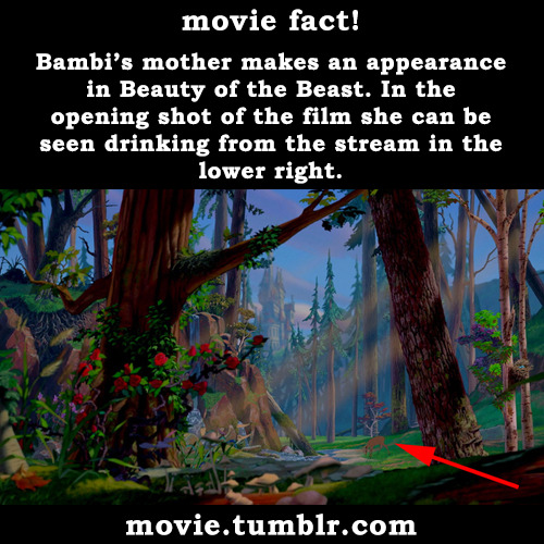 movie:  Beauty and the Beast facts - more adult photos