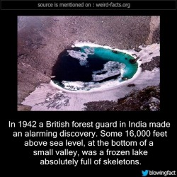 the-mage-ofblood:  ac-47-spoopy:  mindblowingfactz: In 1942 a British forest guard in India made an alarming discovery. Some 16,000 feet above sea level, at the bottom of a small valley, was a frozen lake absolutely full of skeletons. -Source A photo