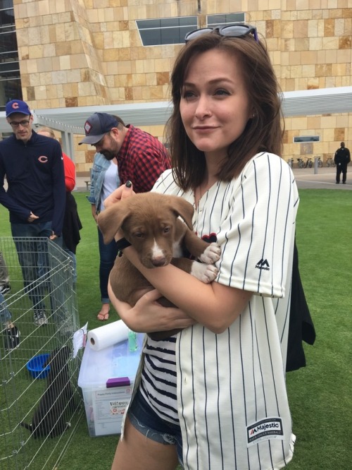 almost traded my baseball tickets for a puppy today