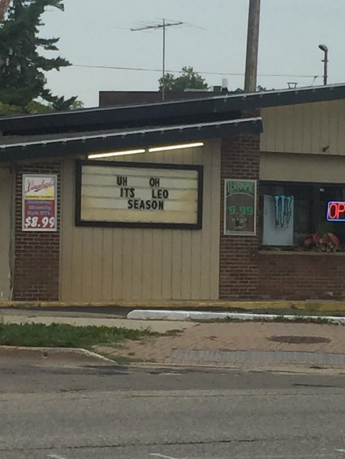 habanerograndmas:[Image Description: Letterboard sign that reads “uh oh its leo season” in capital l