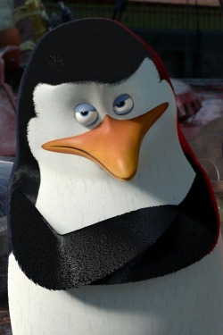 sarcastichemist:  Judgmental penguin doesn’t