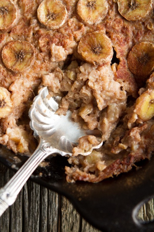 alloftheveganfood:  Vegan Oatmeal Round Up Cinnamon Roll Baked Oatmeal Five Minute Chocolate Oatmeal Bruleed Oatmeal with Berries & Almonds Blueberry-Coconut Baked Steel Cut Oatmeal Coconut Cookie Dough Oatmeal Wild Blueberry Chia Oatmeal Frappuccino