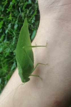 internetcooldad:  Making friends with nature