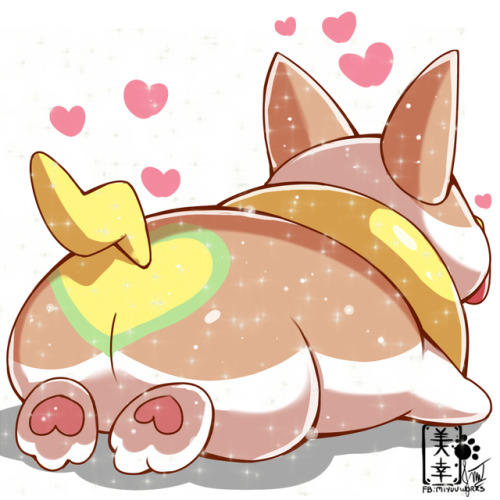 dreamingmiyuu: I love Corgis, I love Yampers!!!