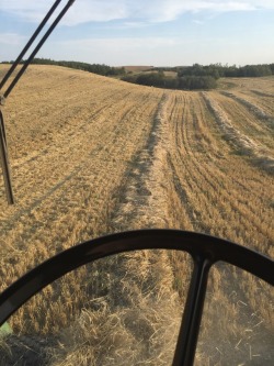 poweredbydiesel:Harvest 2017 is on the go