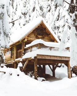 pieceofwilderness:  Snow me in! 😍 Tag
