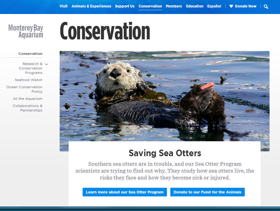 What’s new with our redesigned website? Lots! For starters, check out our conservation section, and learn how we’re helping save sea otters, great white sharks, tuna and other ocean animals–and how you can help.
Visit now:...