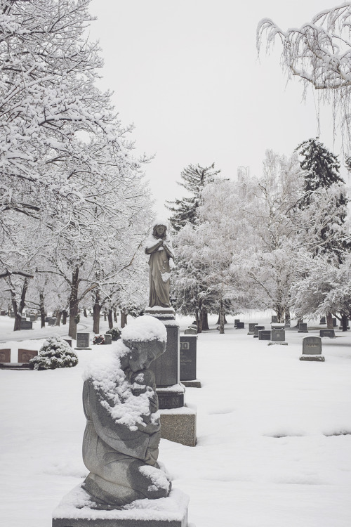 Snowy Mount Olivet Cemetery in Salt Lake City