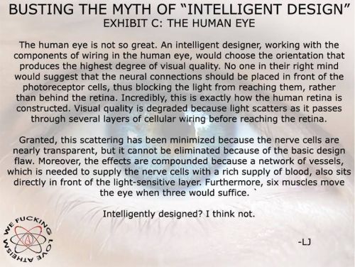 religion-is-a-mental-illness: “Intelligent design” isn’t, and your god is vestigial.