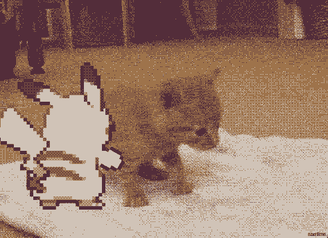 lightninmcqueer:  pikachu you asshole