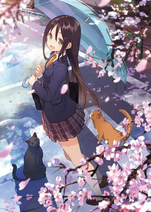 shirabii:  桜雨