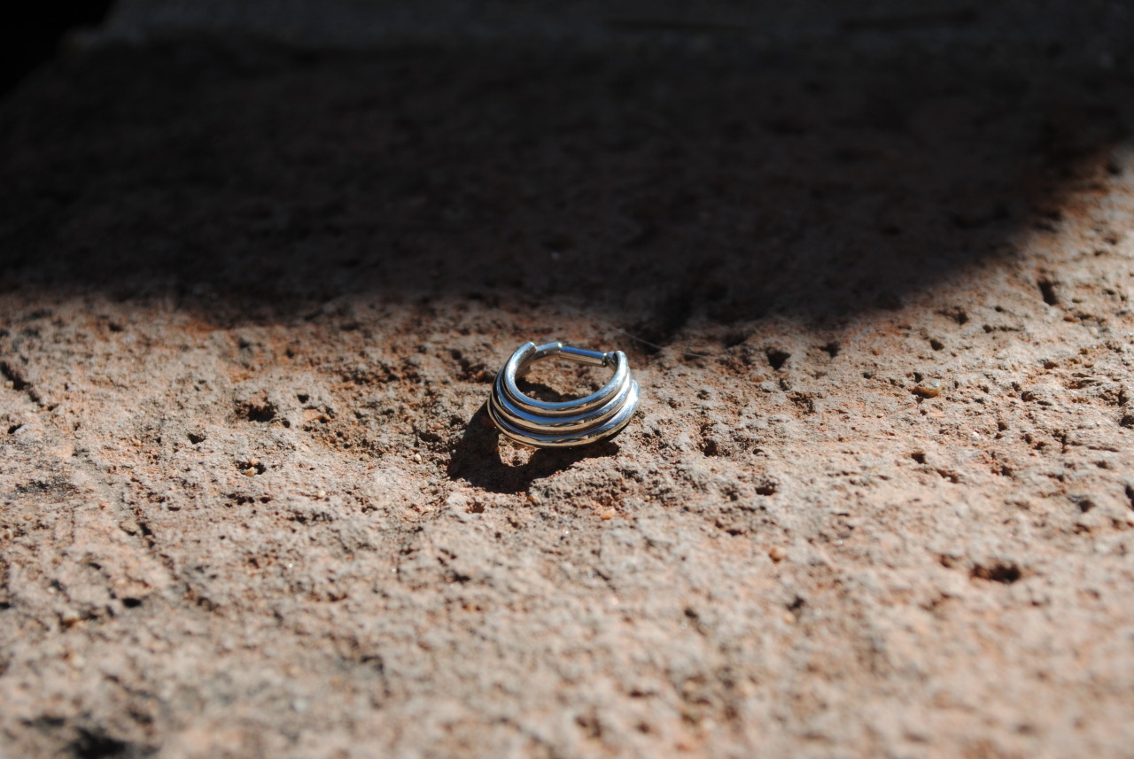 honeycomborganics:  14g Silver 3-Ring Circus Captive Honeycomb Organics, Tucson,