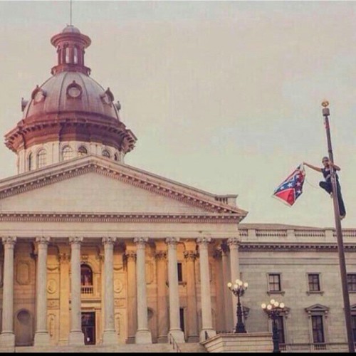 #wepost20 from @sammytexeira #hero #heroine #heroic #courage #confederateflag #breenewsome #freebree