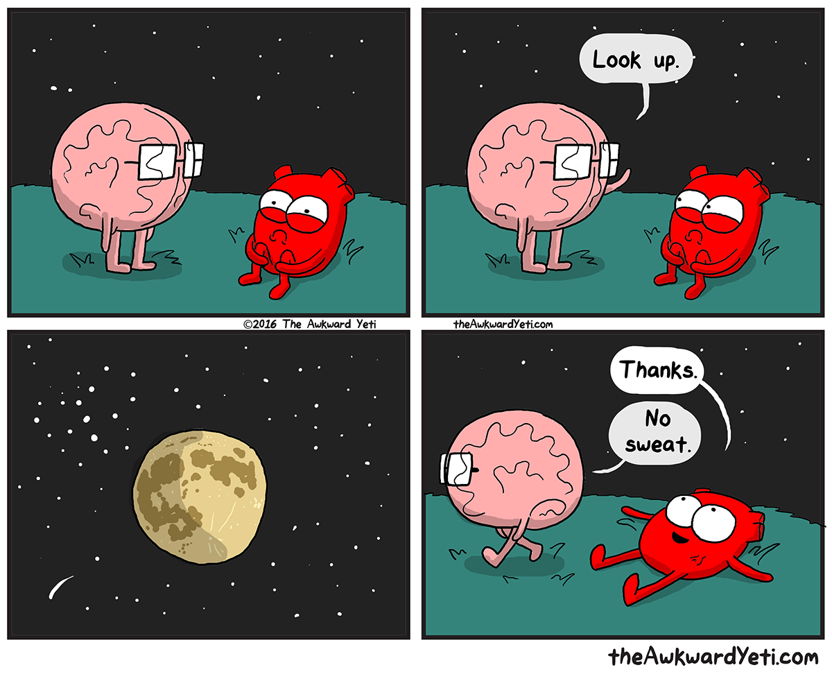 larstheyeti:https://www.theawkwardyeti.com