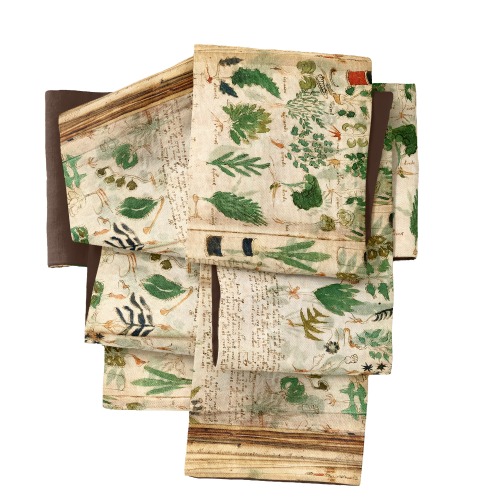 Voynich manuscript printed furisode and obi (other version) by Gofukuya (my history nerd heart goes 