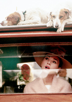 vintagegal:  Audrey Hepburn photographed during the filming of Funny Face, Paris, 1956 (via)