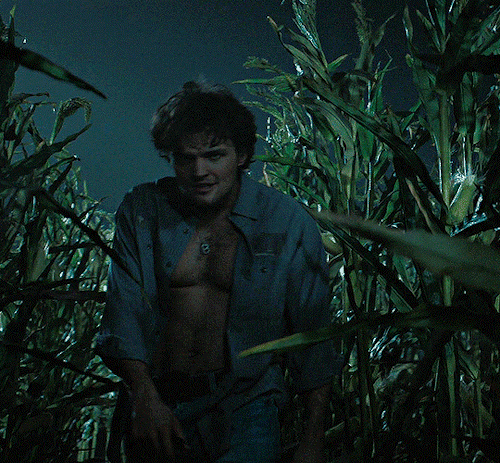 RAY NICHOLSONas Ray Hall In Panic (2021)