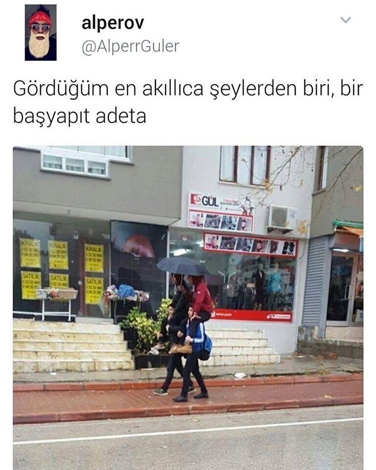 Gördüğüm en akıllıca...